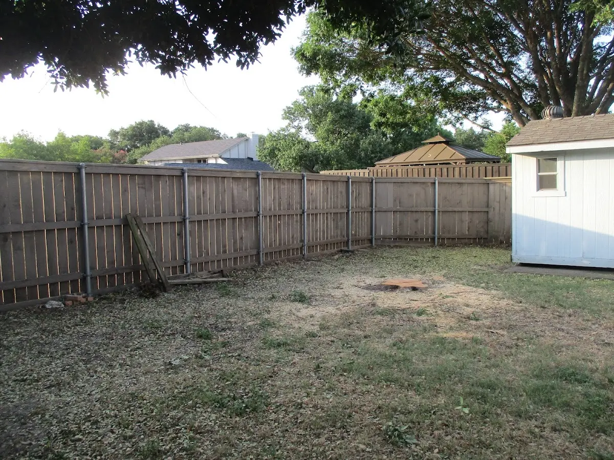 Cleared yard after professional tree removal in High Shoals
